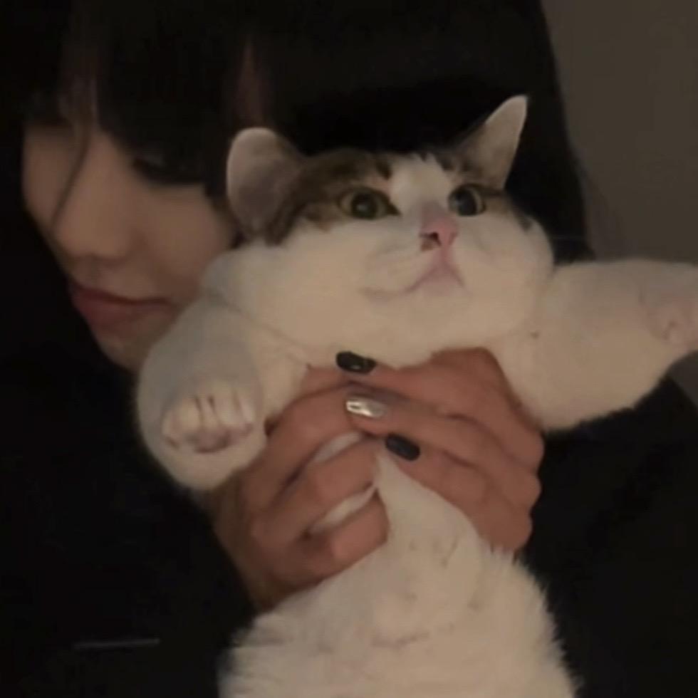 李姐.