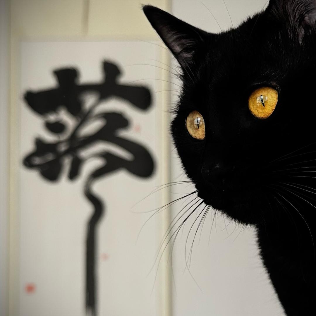 那之落