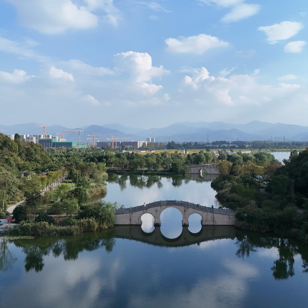 上岸摸鱼