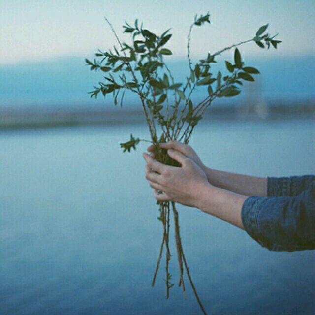 桃李春风一杯酒