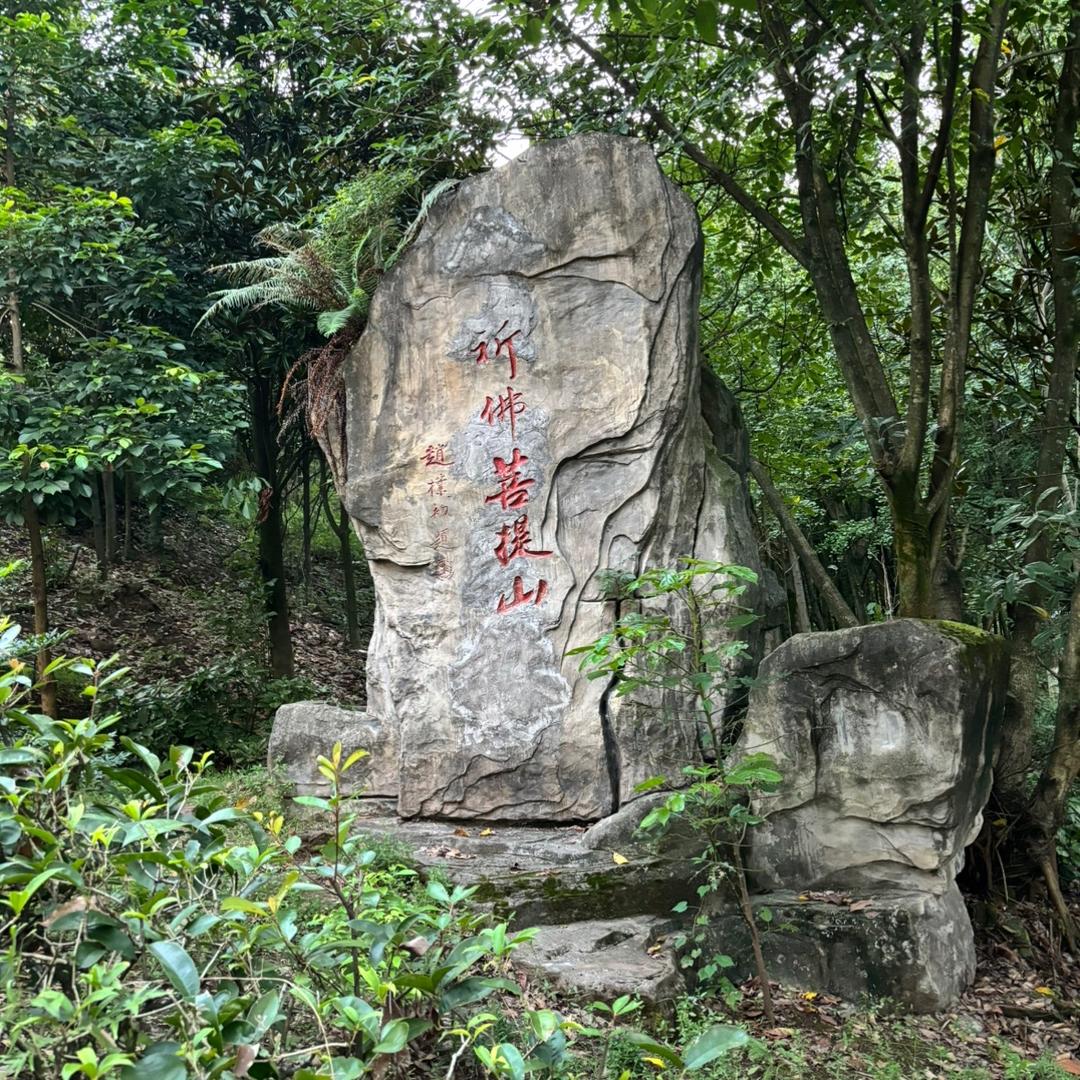 腾达