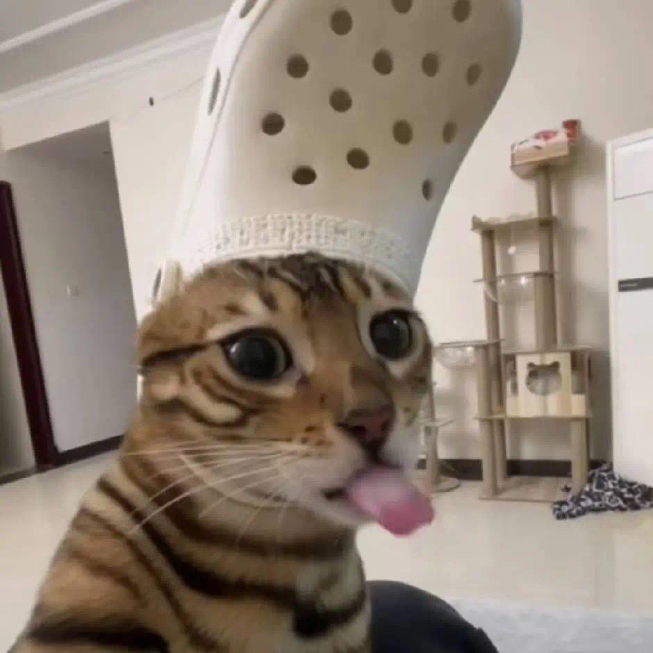 kkkkki wi迷糊桃🥝