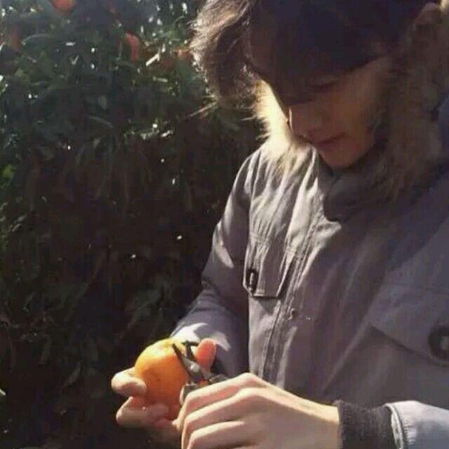 皆非-