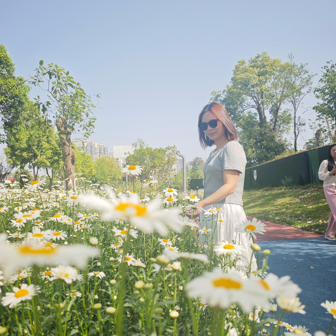 @汇力达人力资源