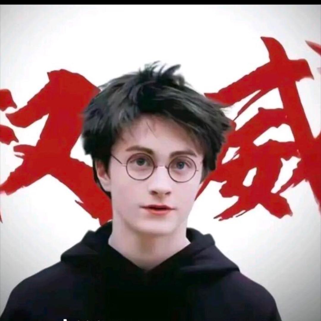 哈利.波特