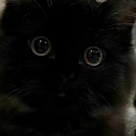 ￴ ￴￴ ￴ ￴xiyix