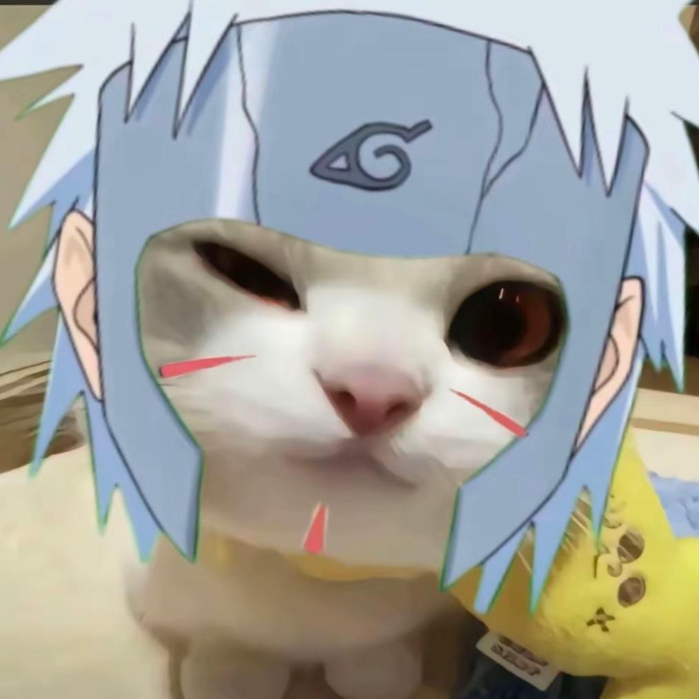 Nova狗哥