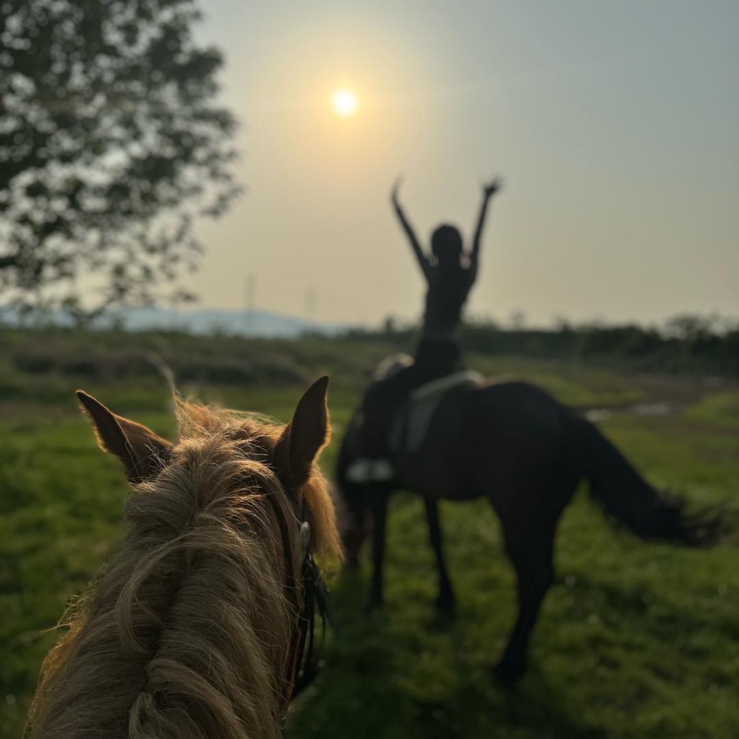 汉风马术俱乐部