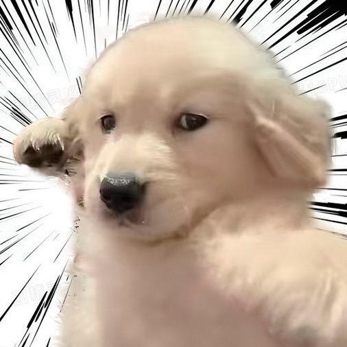 梧 桐