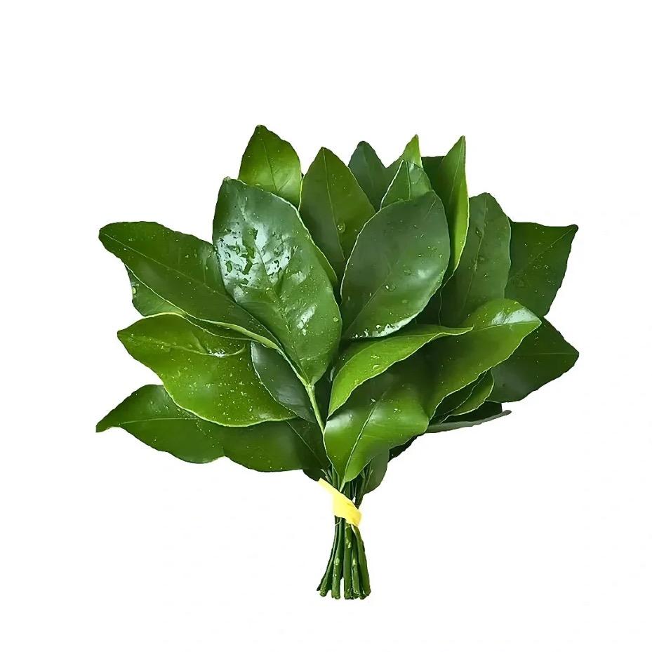 易碎椰子