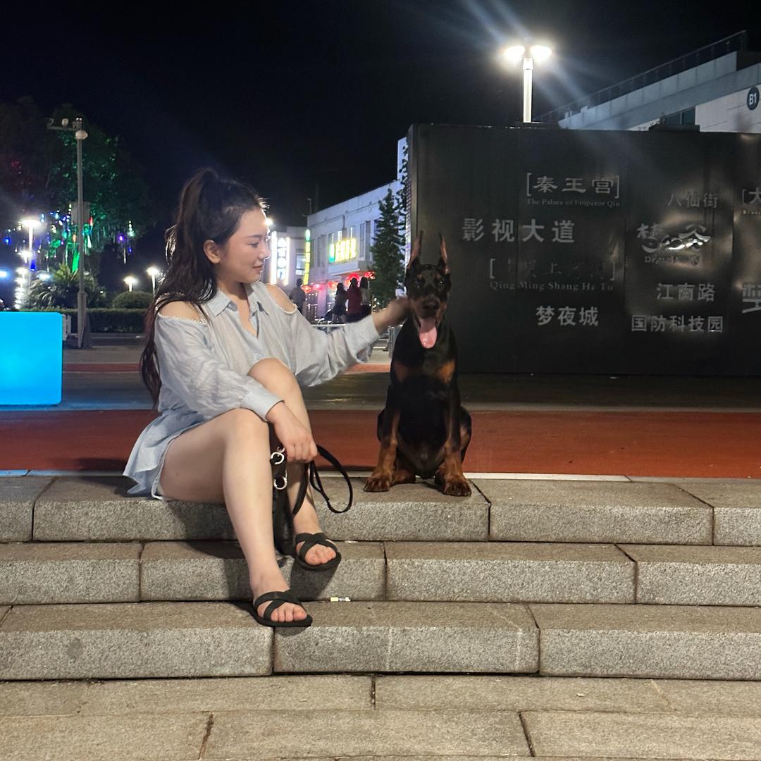 凌云志
