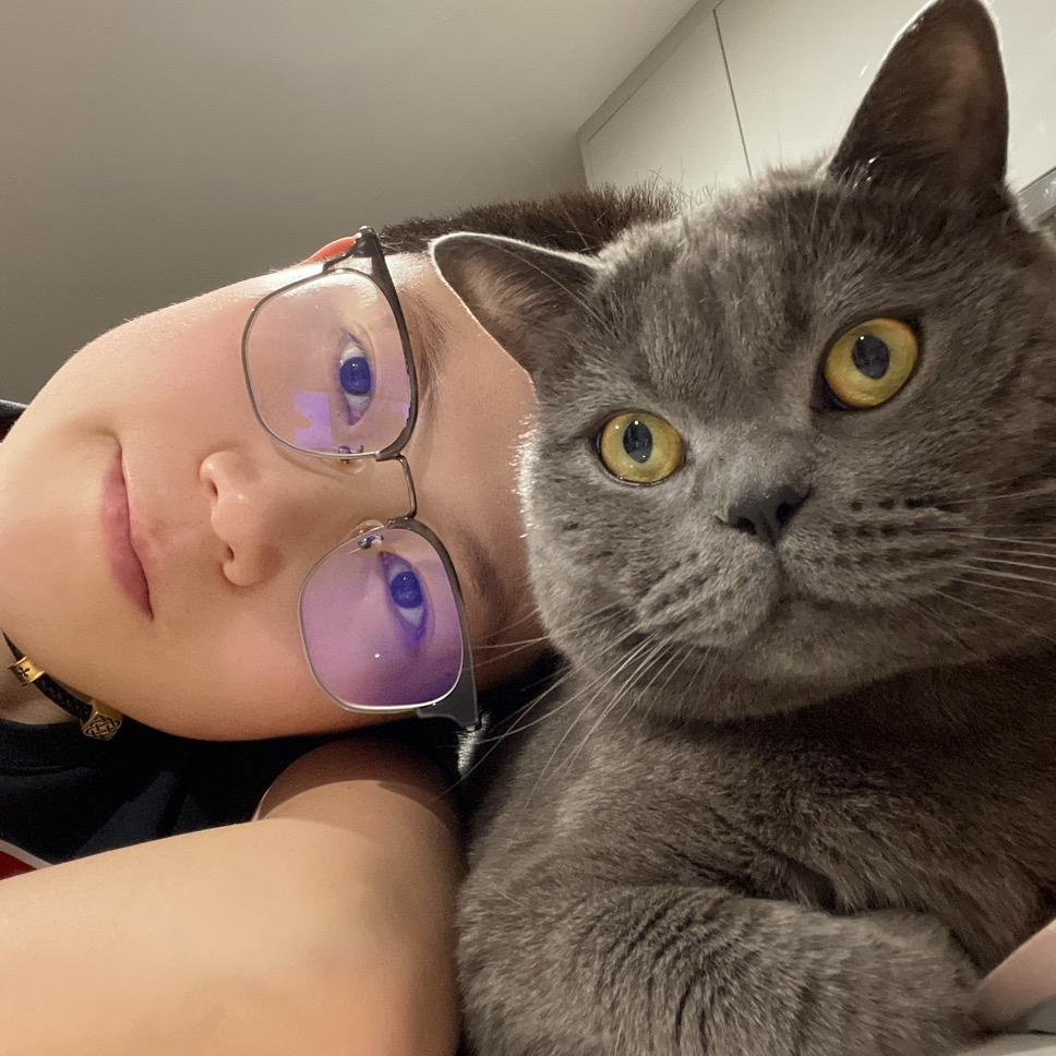 🐷🐱