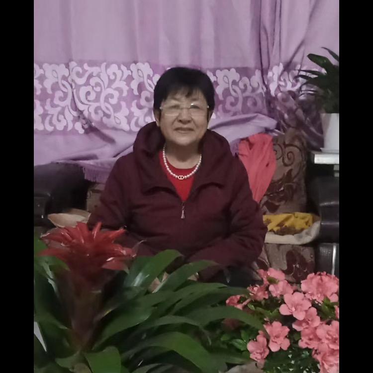 梅花的快乐生活