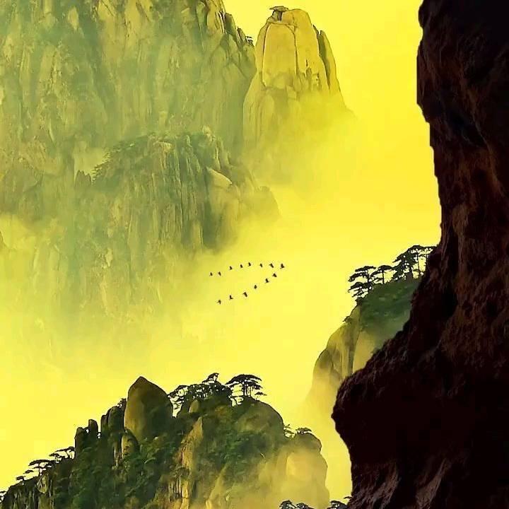 青桔