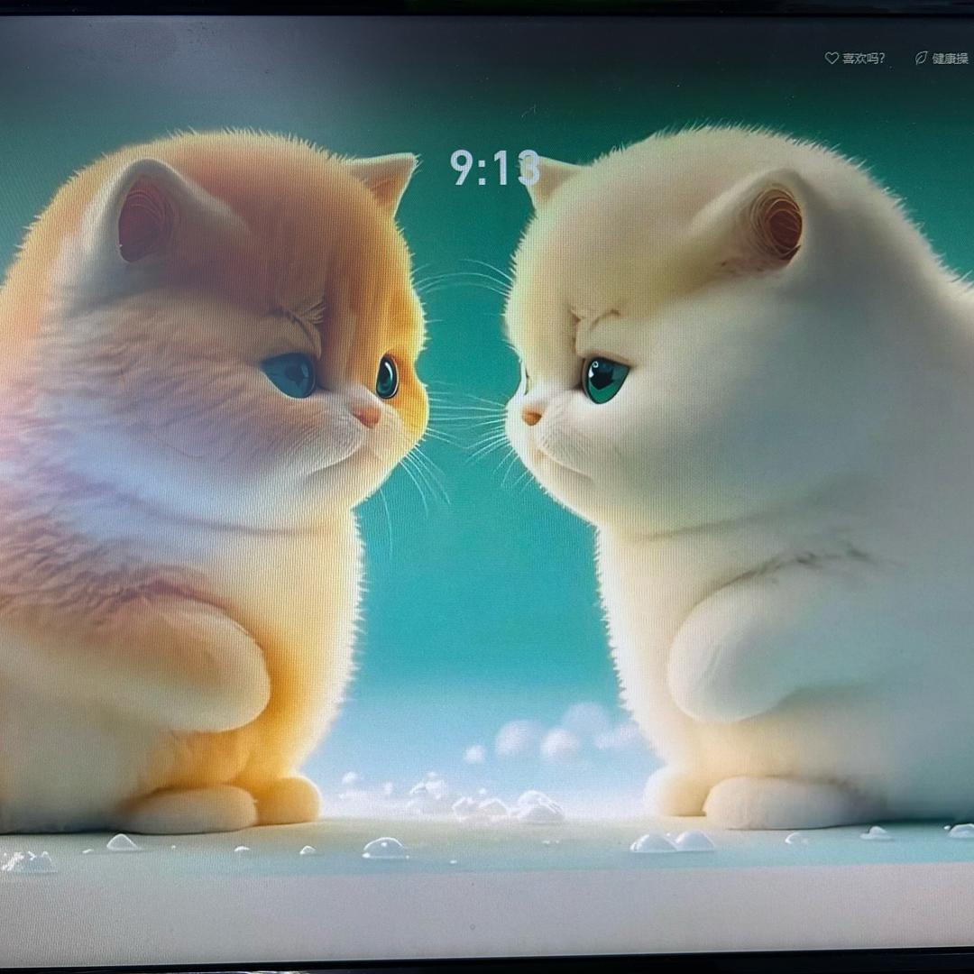 加多宝