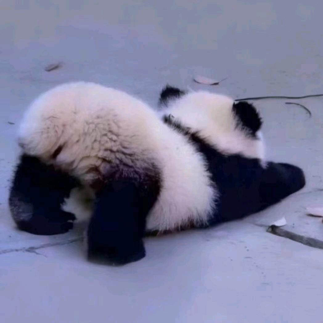 喜欢T