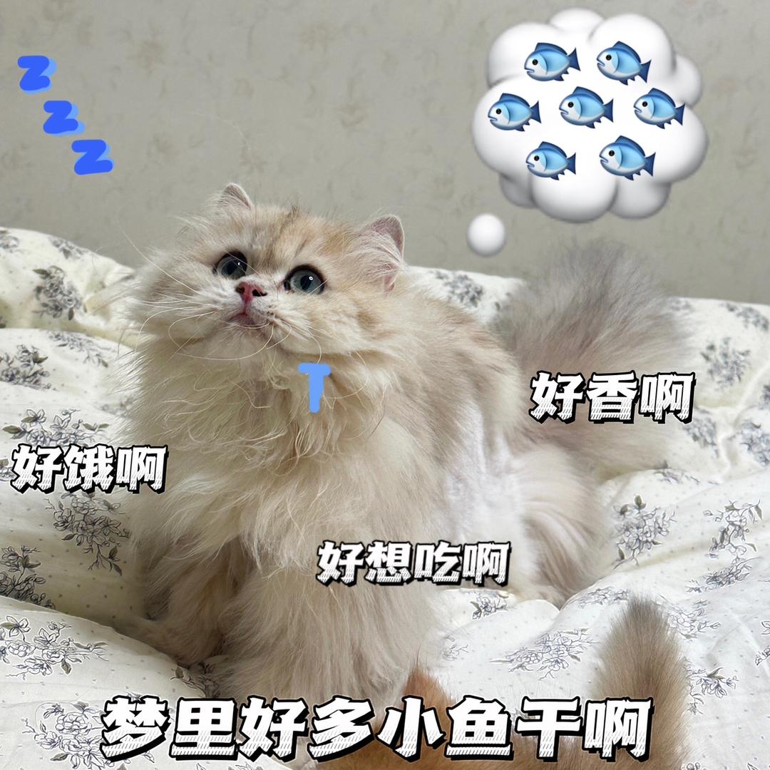 zzzzh