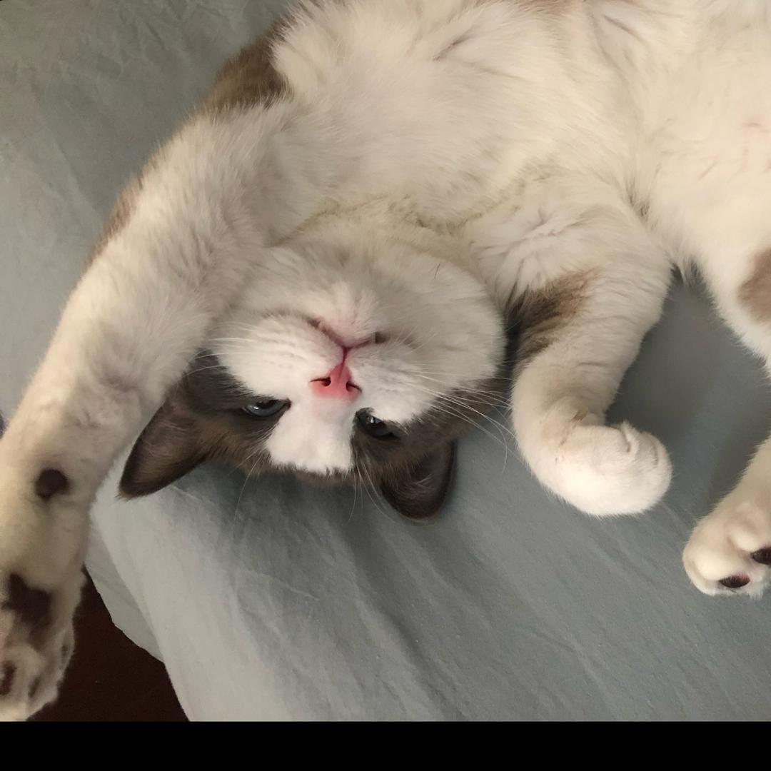 𝓜𝓪𝔂𝓼𝓸𝓷