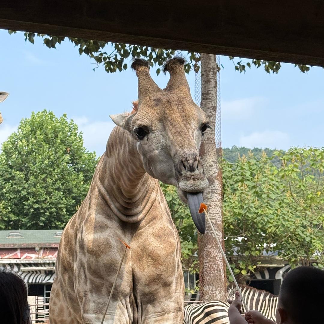 忙着长大哦～～