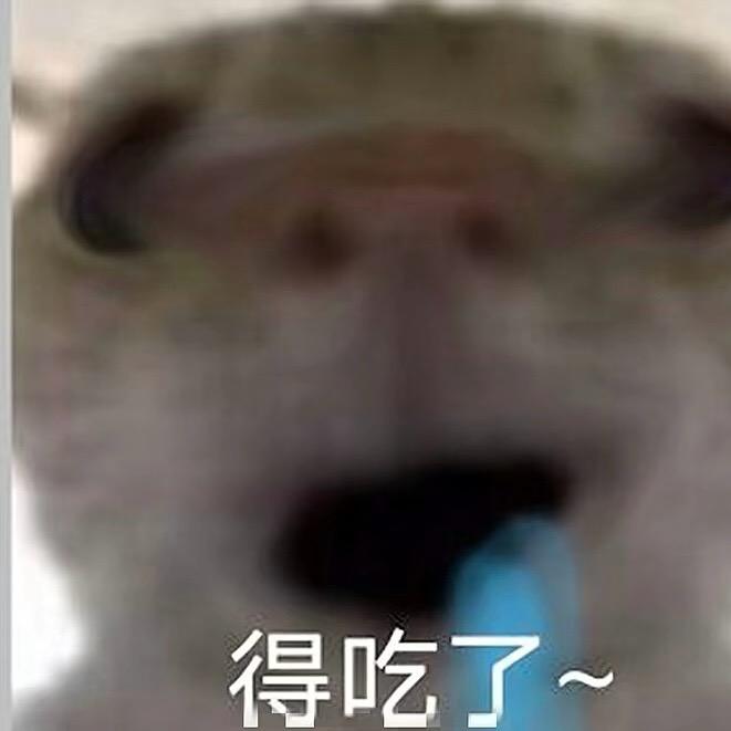 凌钧轩钓鱼日记🎣