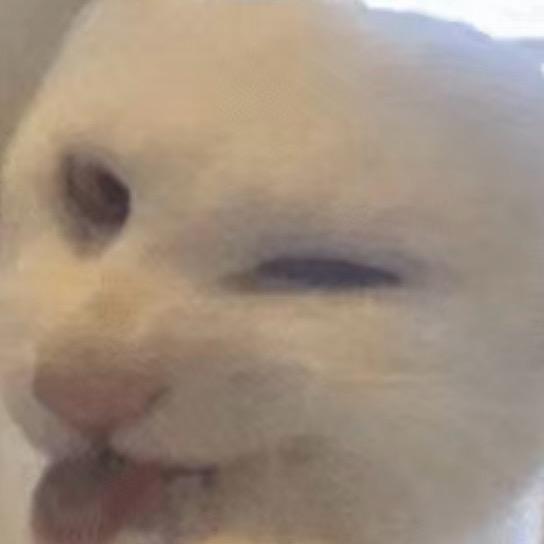 -aao肠