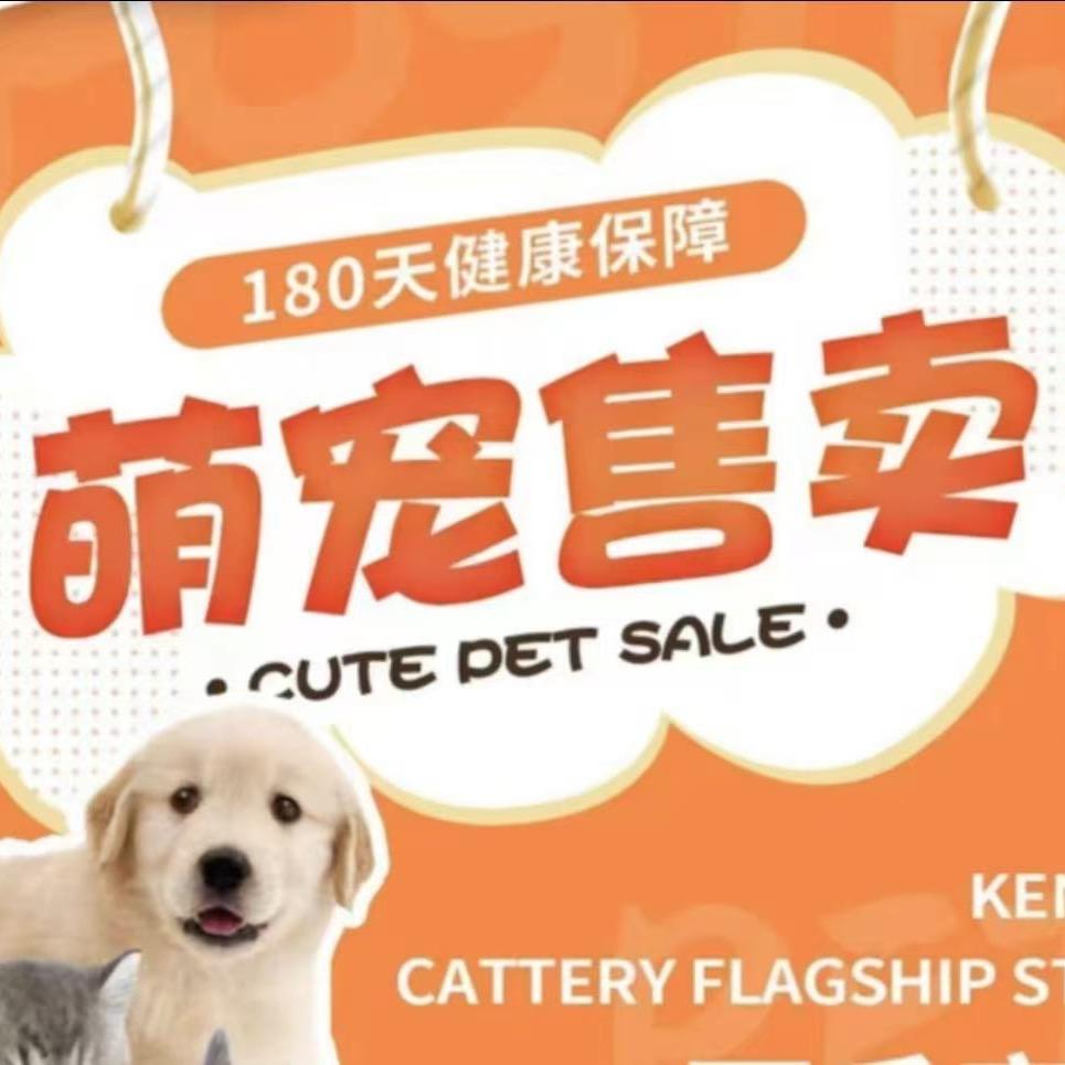 南昌朋来缘宠物犬舍猫舍