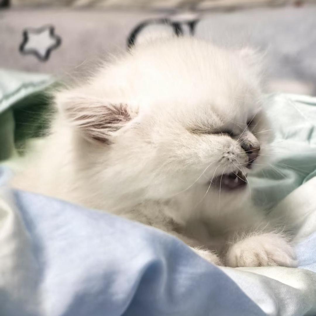 整几根辣条吃吃