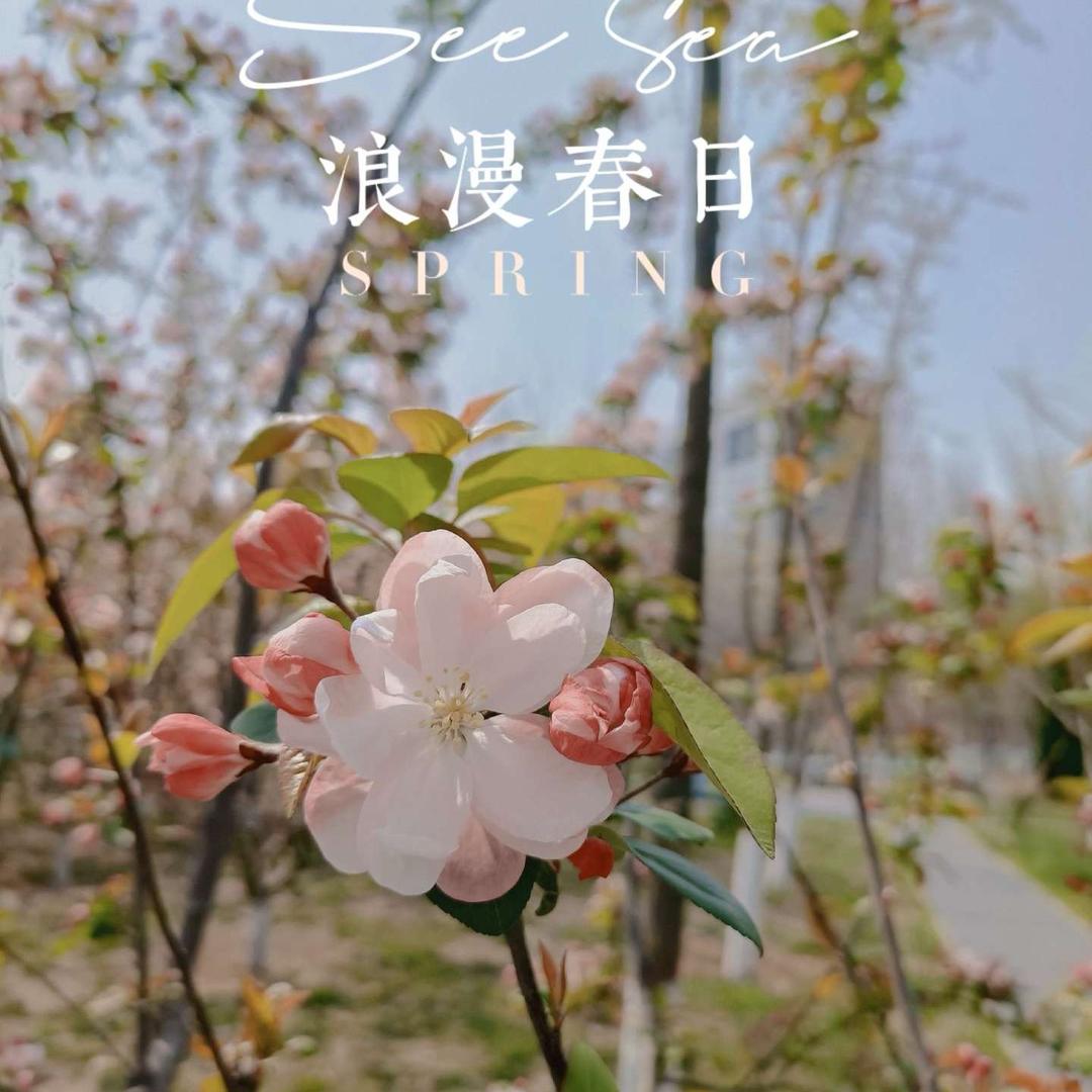 阳阳