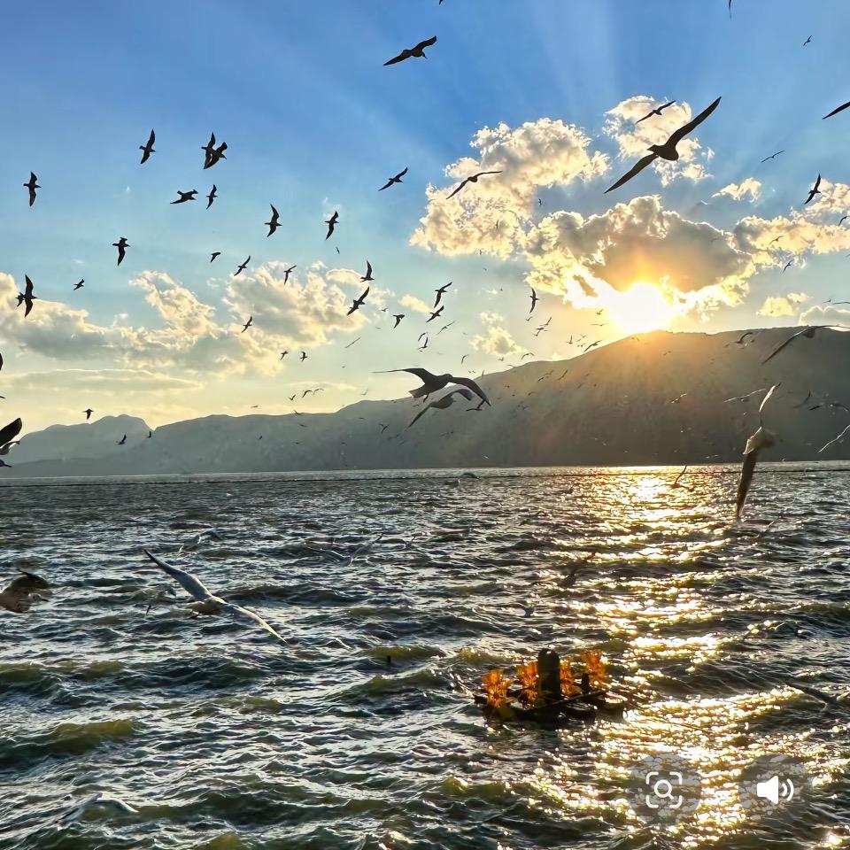 百伦奥莱万象体育直播号