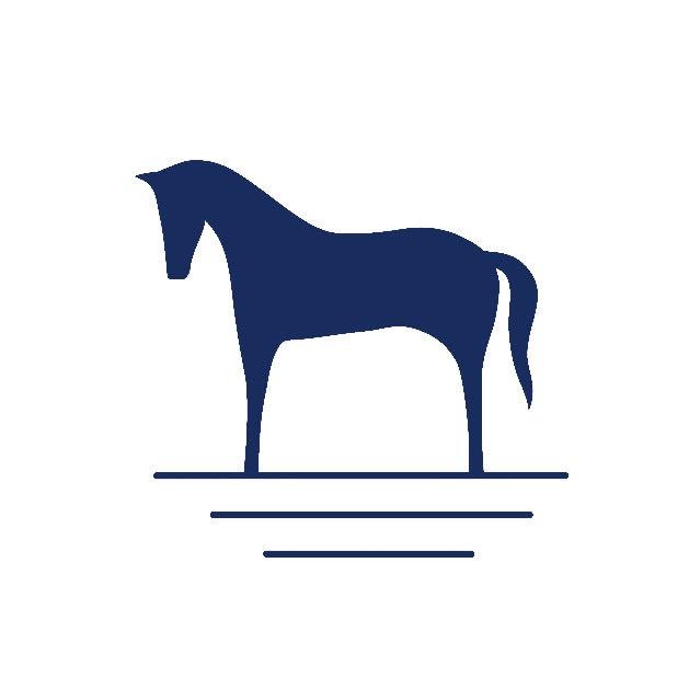 海边的马THE HORSEAS