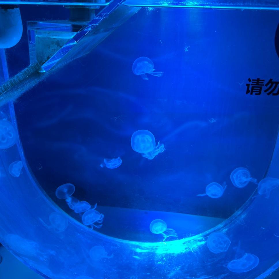 ………………、