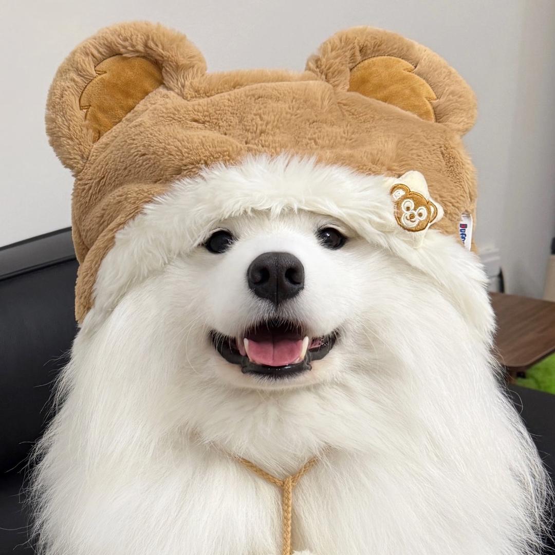 红烧小歪