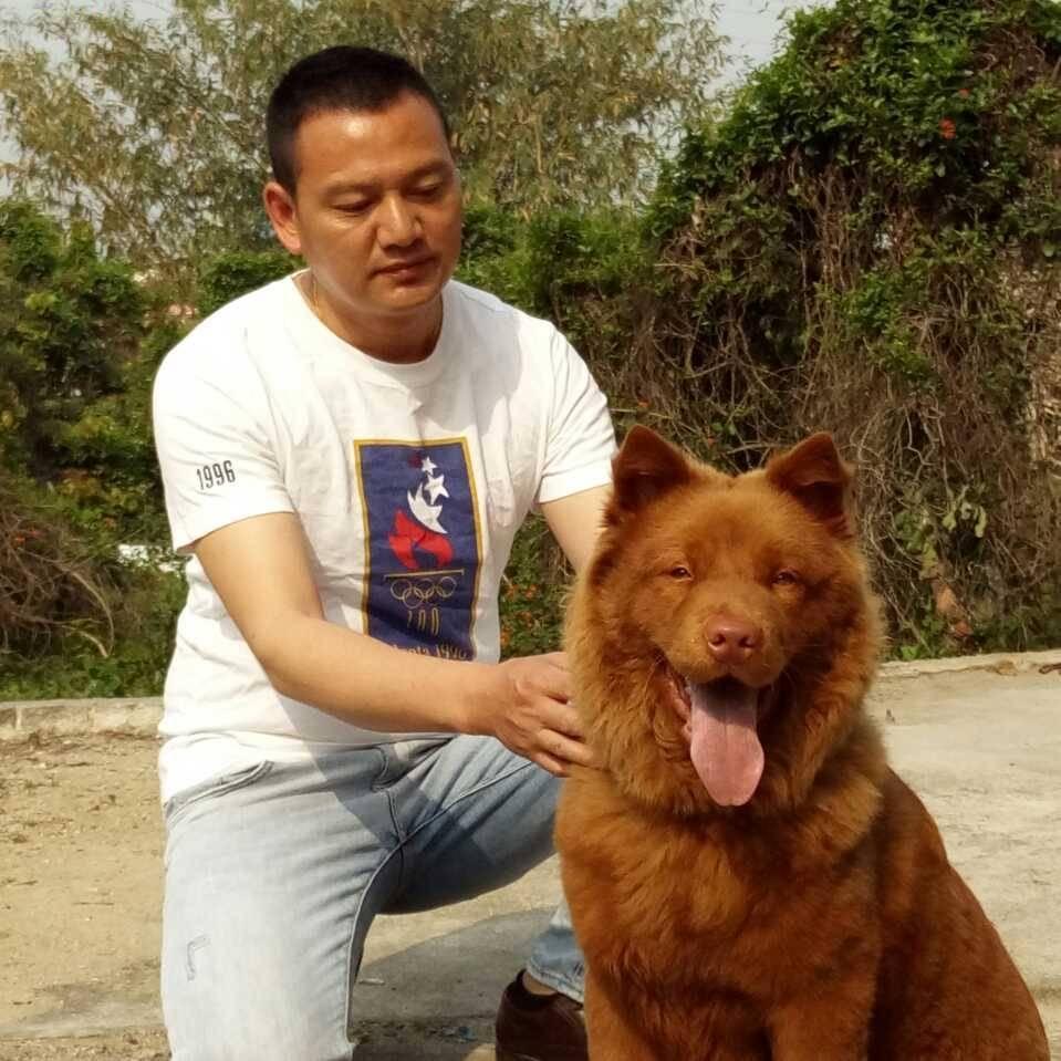 五红土狗
