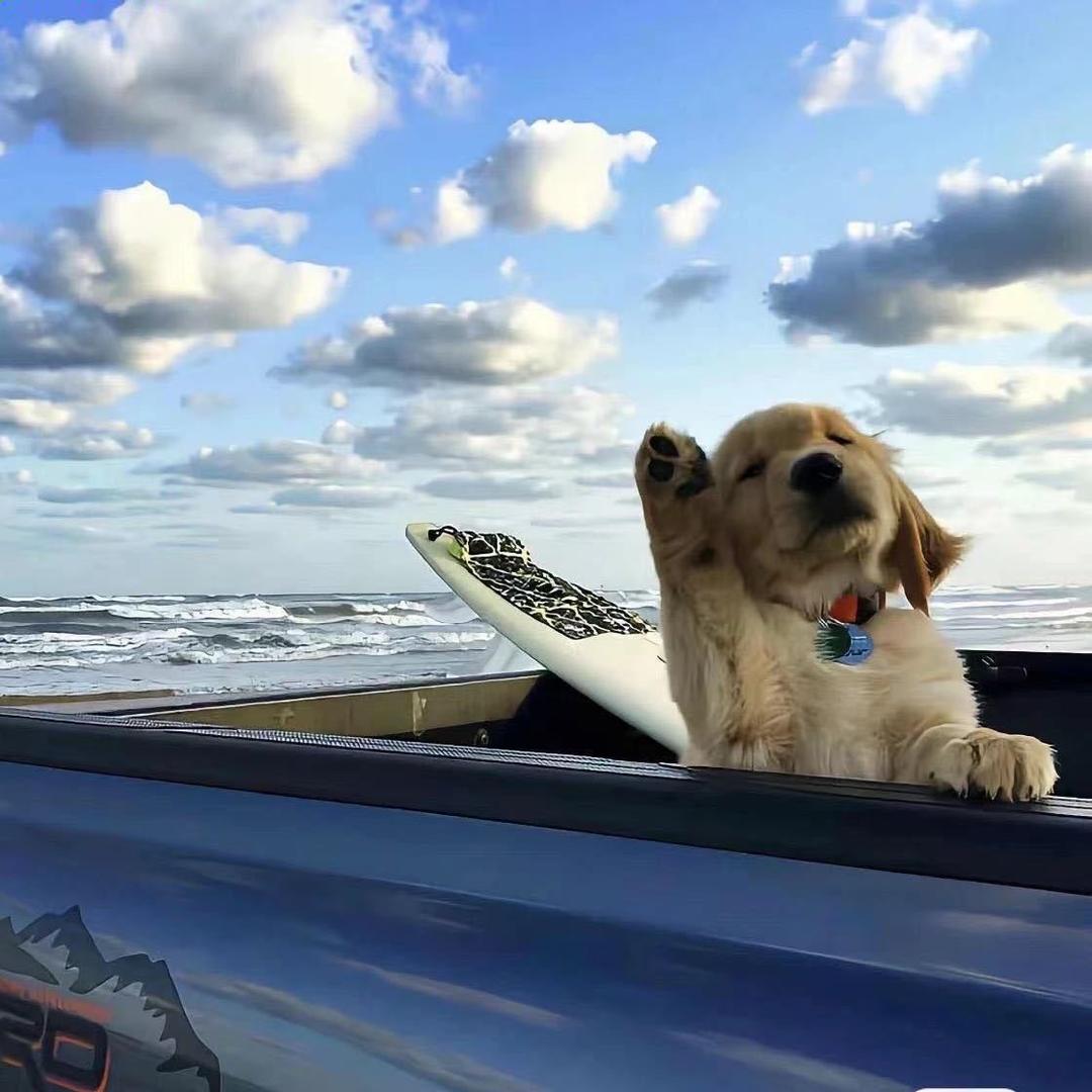 北故（零跑c10）