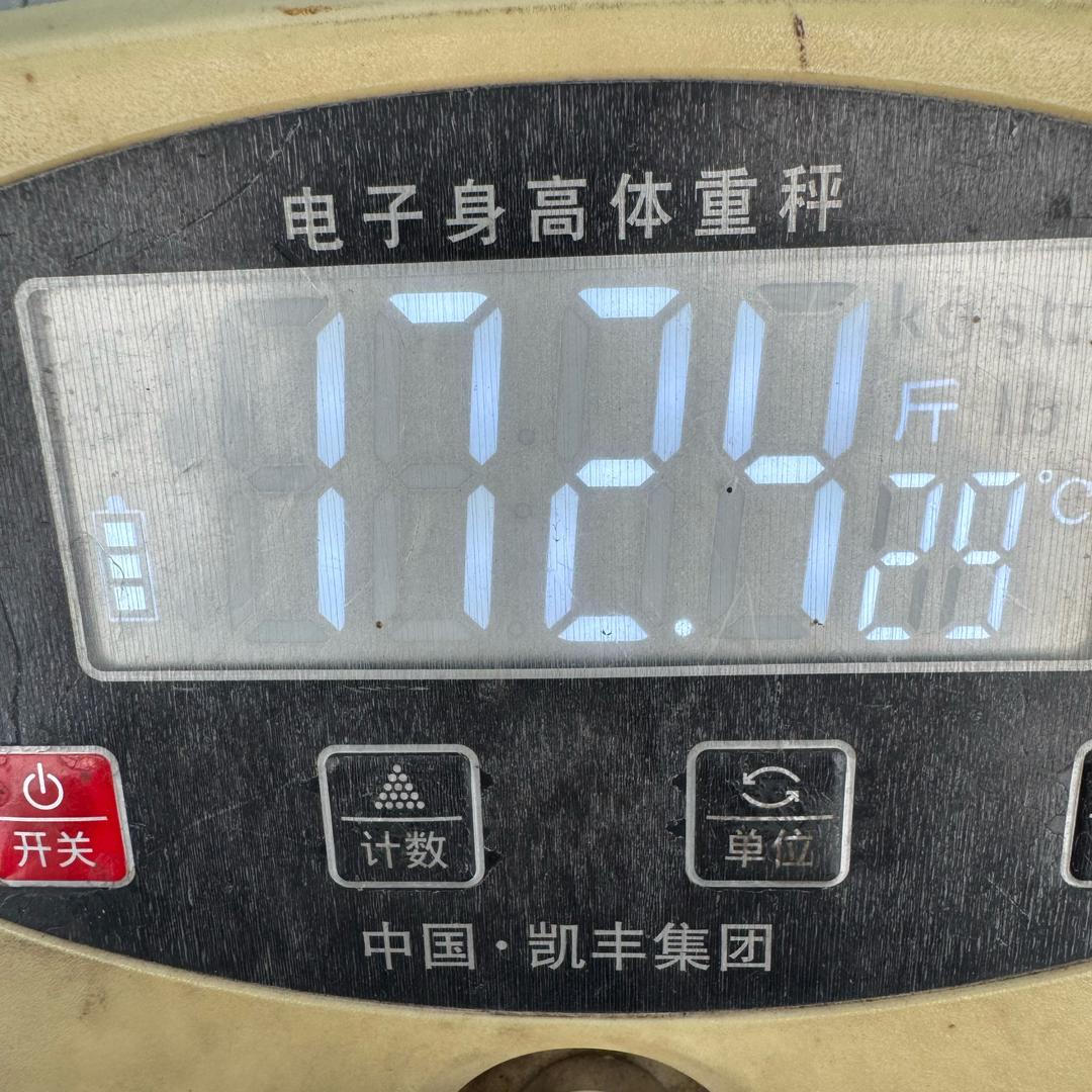 坤总不是神
