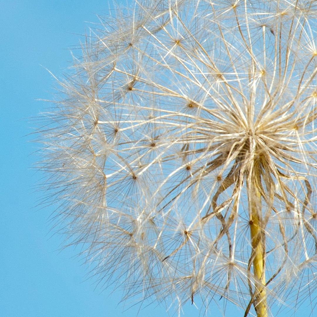 天道酬勤！！！！