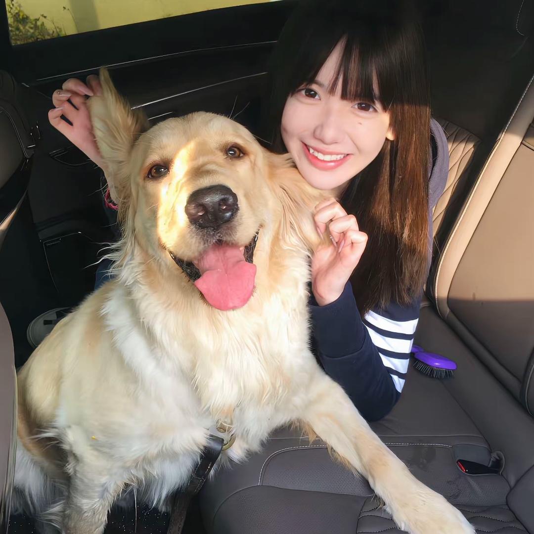 海豹夹心小蛋糕