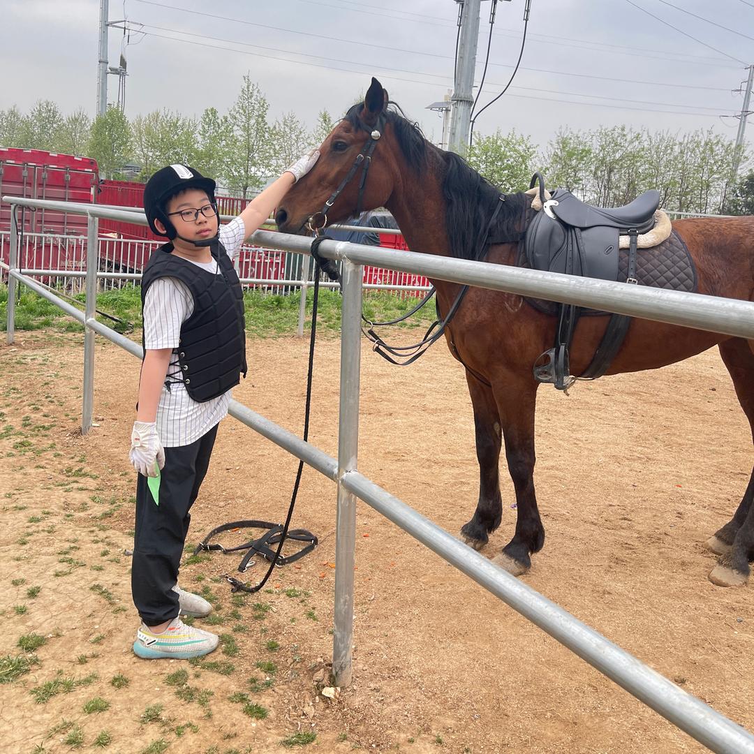 蓝色星云，迁露白茶