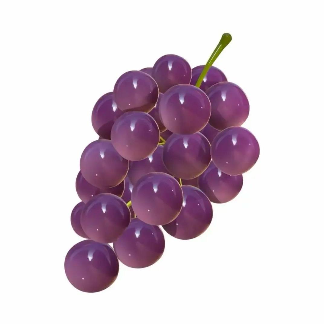 葡萄肚肚🍇
