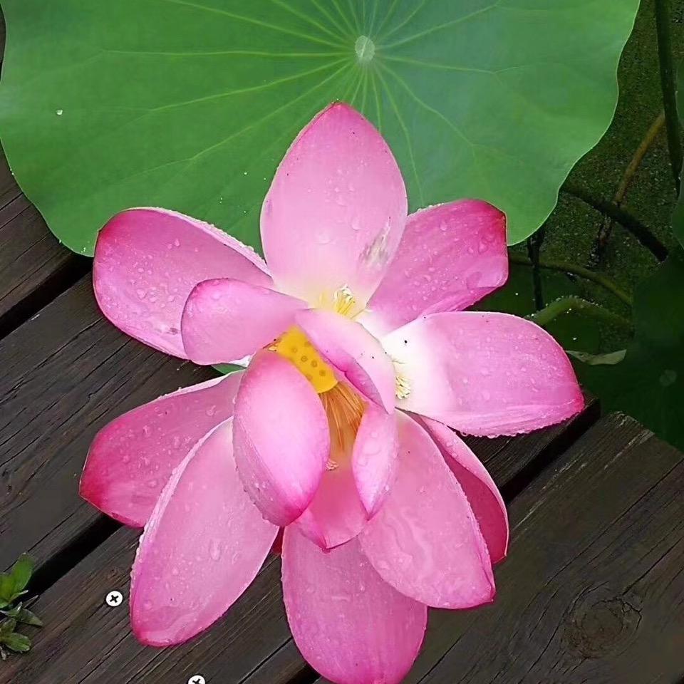 雨轩同学