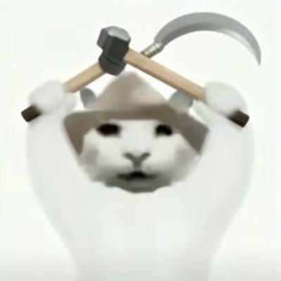 偷梨（我要买gt嗷