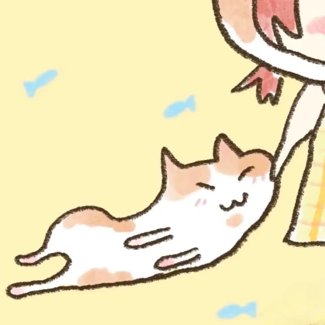 徐小毛🐾