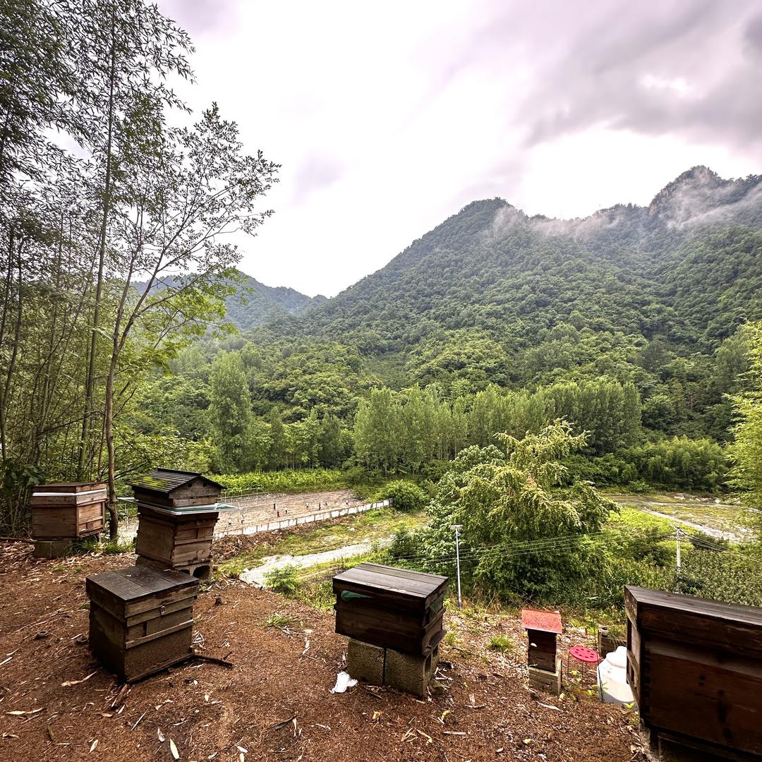 采蜂记农产品合作社