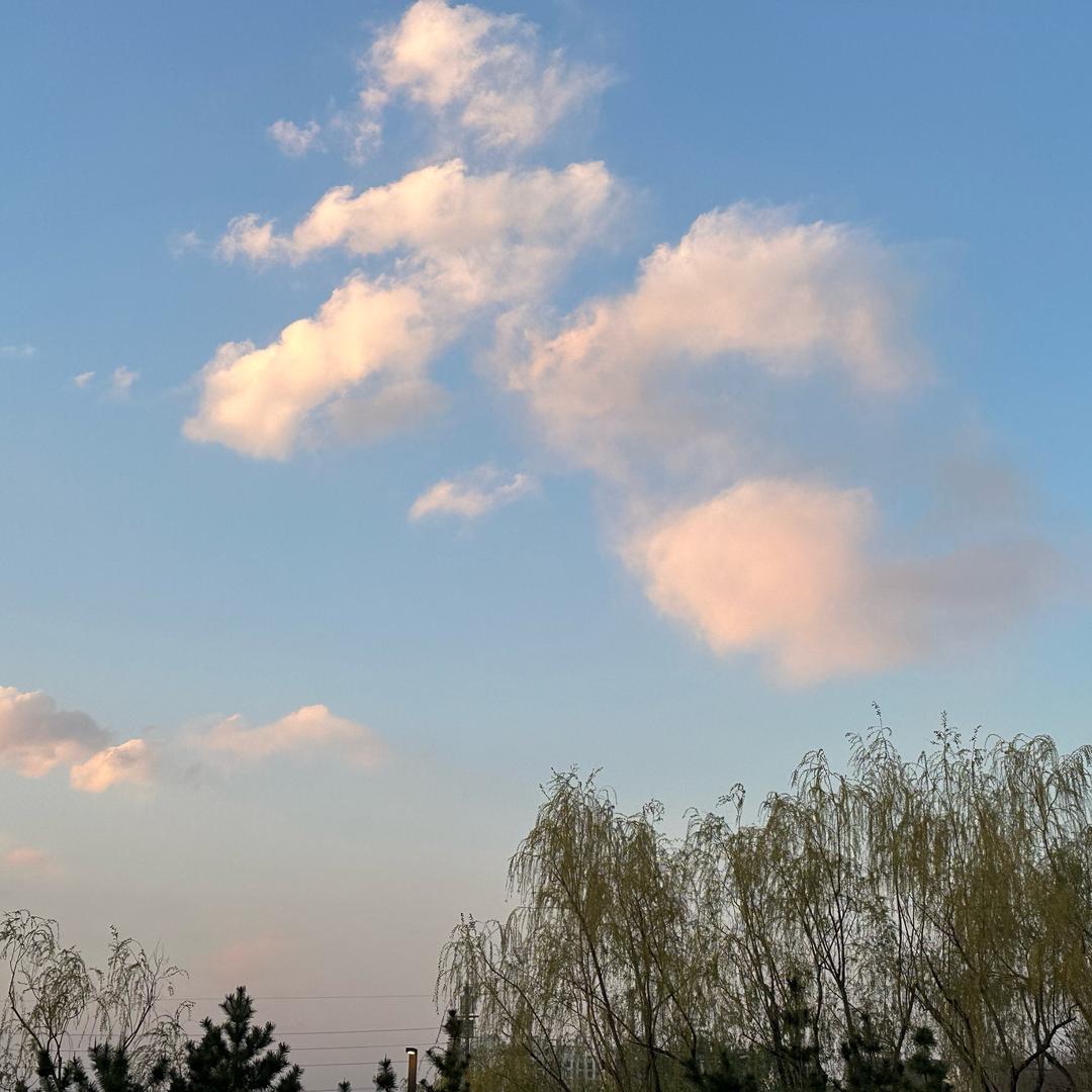 北方小女子一枚£