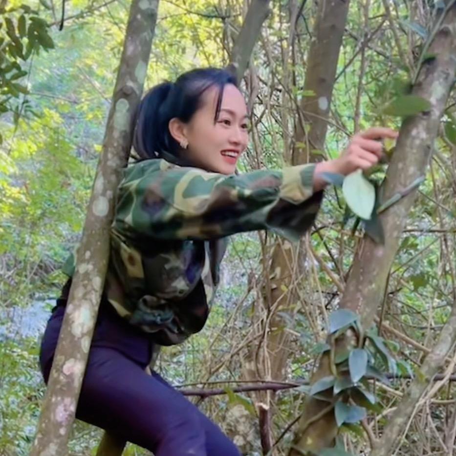 馨许缘
