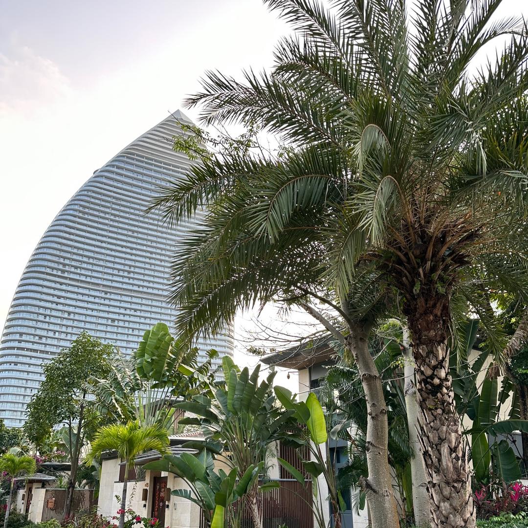 那个女人回来了