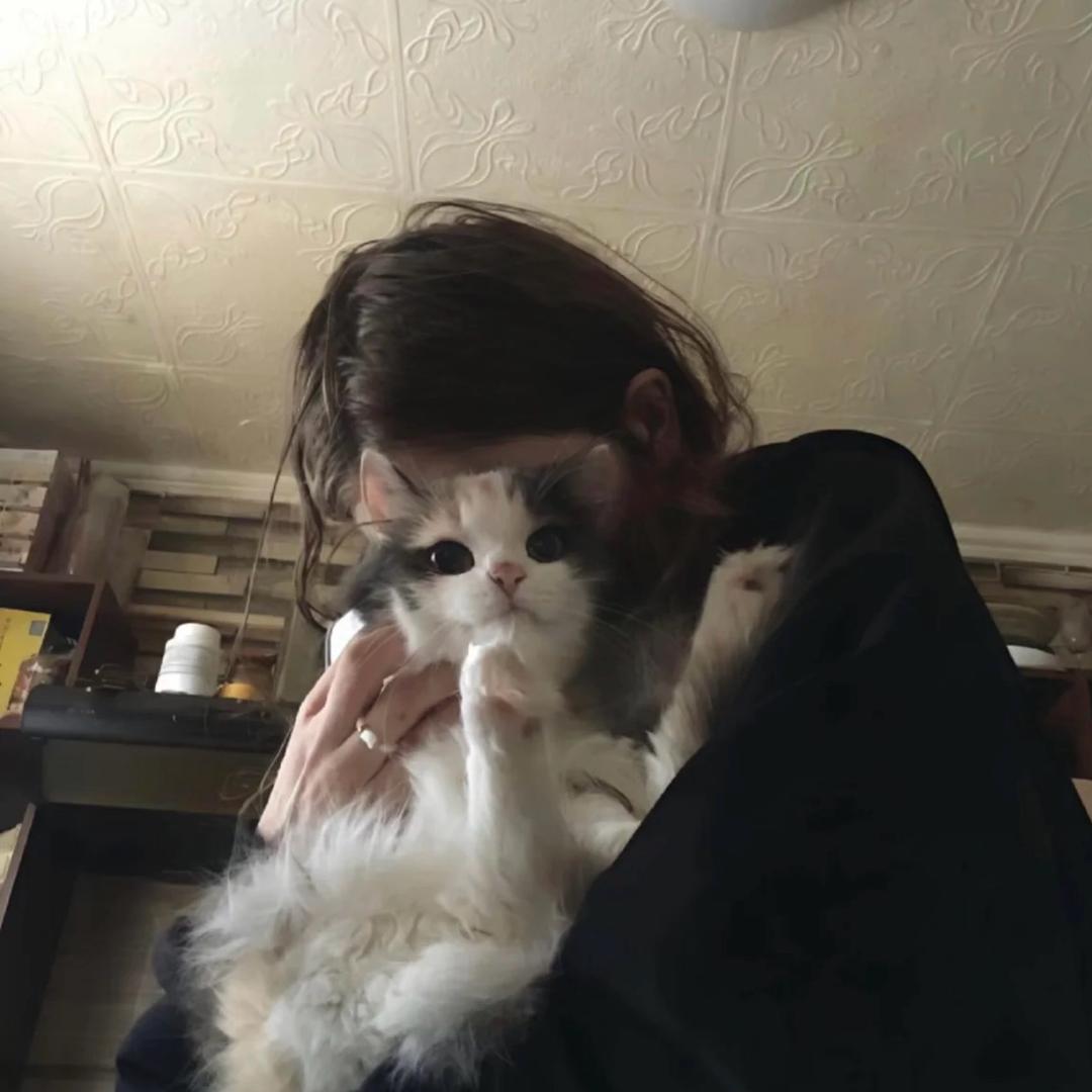 兜兜大王