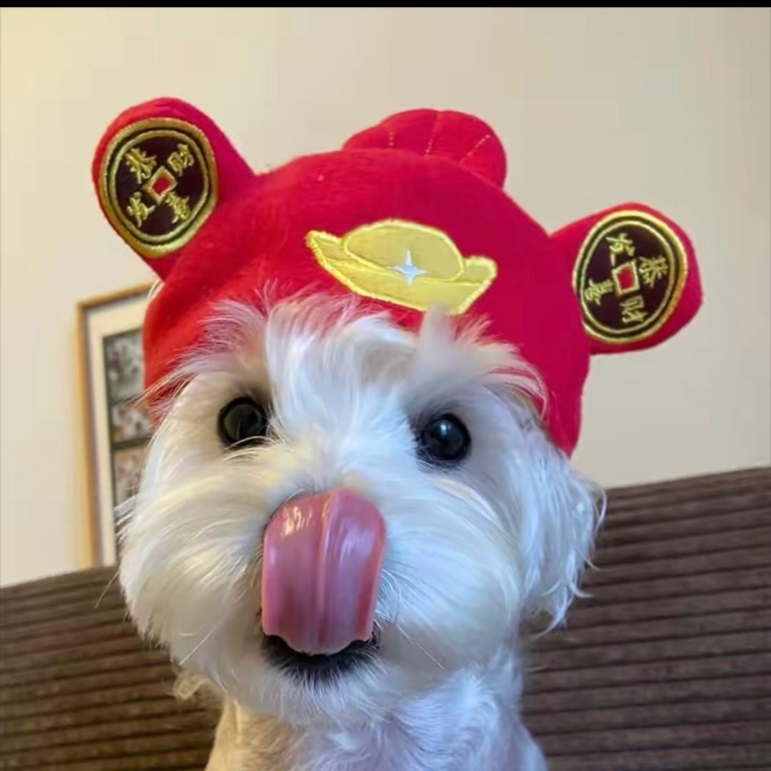 天天玩儿战机
