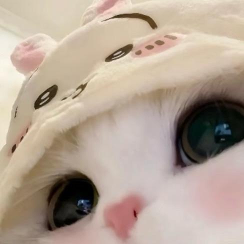 不瘦20斤不改名