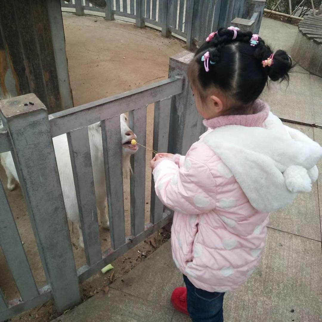 小思思麻麻